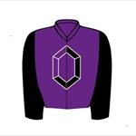 Win a share in a racehorse! Win a share in a racehorse!